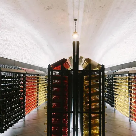 Winegarden Moekatsjeve