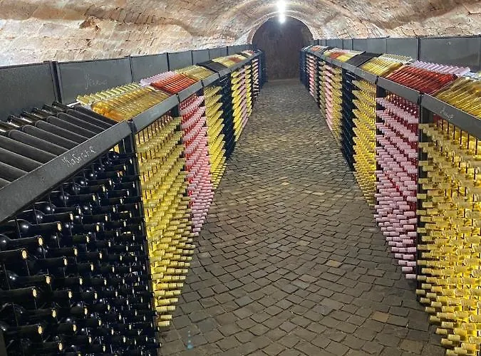 Winegarden *