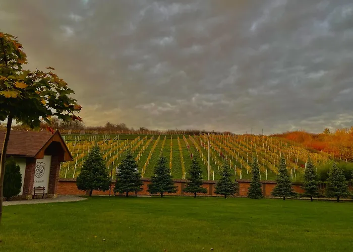 Winegarden * Munkács