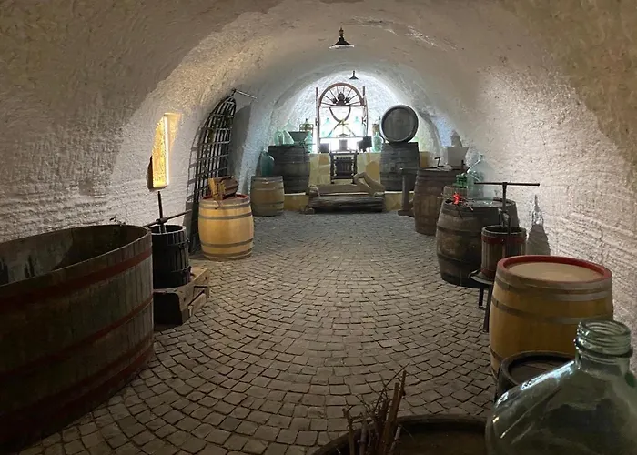 Szálloda Winegarden Munkács
